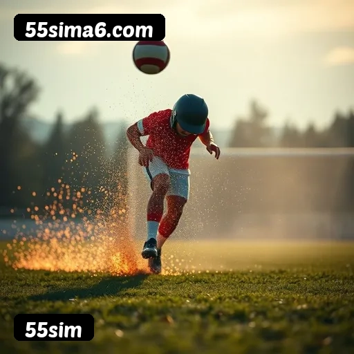 Níveis do programa VIP da 55sim
